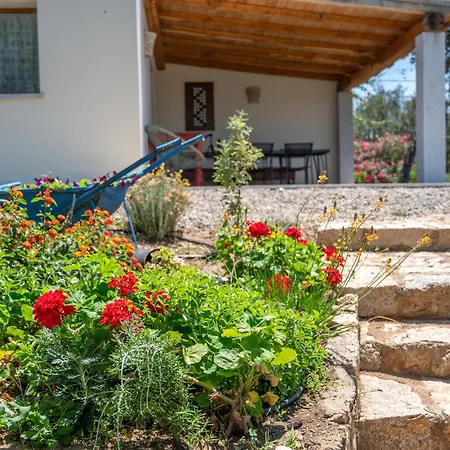 Prázdninový dům L'aldia Costa Smeralda