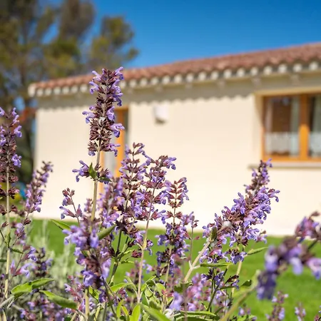 Prázdninový dům L'aldia Costa Smeralda