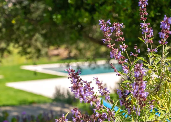 別荘 L'aldia Costa Smeralda *